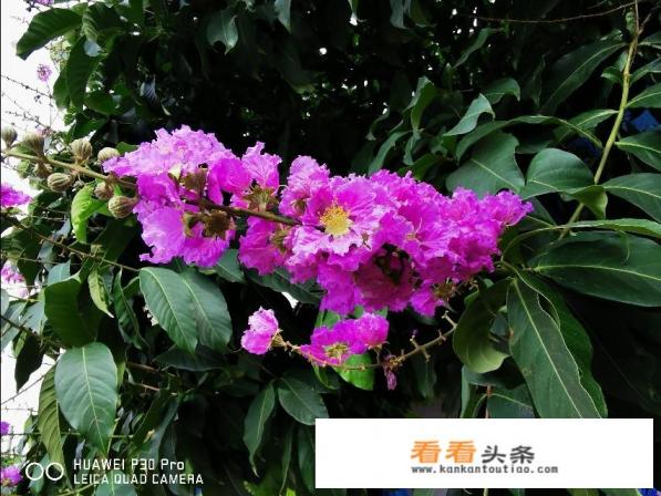 你们觉得华为手机卡不卡，使用体验如何