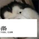歌婚礼上唱的有意义的歌有什么好的推荐