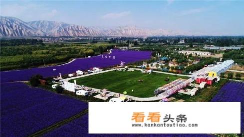 兰州胡杨林最佳观赏时间