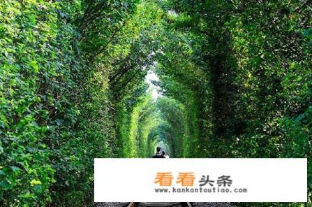 你知道的最适合情侣旅游的三个地方是哪里？为什么