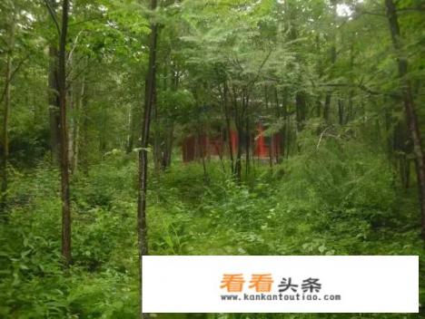 用一句话介绍你家乡的旅游景点和特色小吃，你会怎么说