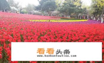 秦皇岛市旅游规定