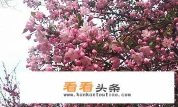 秦皇岛市旅游规定