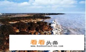 在常州去附近哪里的海边玩比较合适