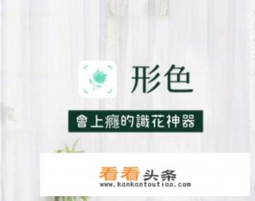 有什么实用的辨别植物的软件