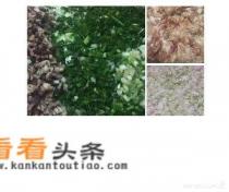 春卷可以蒸着吃吗，蒸春卷的 *** 