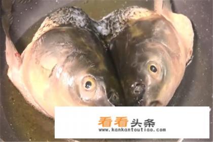 炖鱼头怎么做
