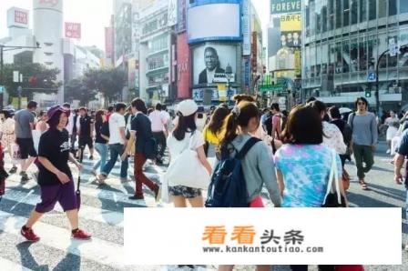 东京周边有哪些小众旅行地