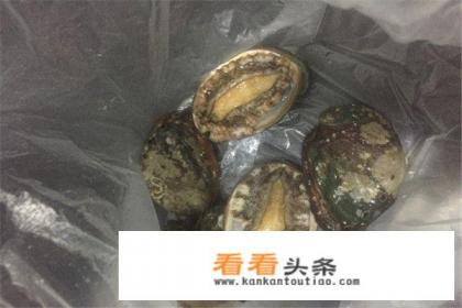 正宗清蒸鲍鱼的做法，清蒸鲍鱼怎么做好吃又简单