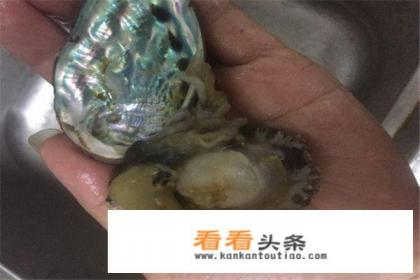 正宗清蒸鲍鱼的做法，清蒸鲍鱼怎么做好吃又简单