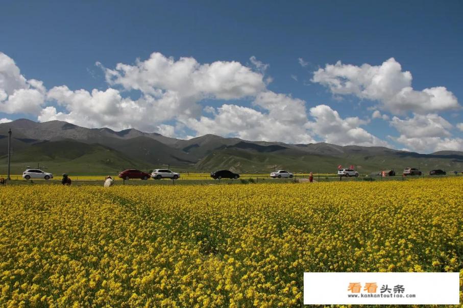 请问，青海湖什么时候去玩比较好？有哪些攻略可以分享