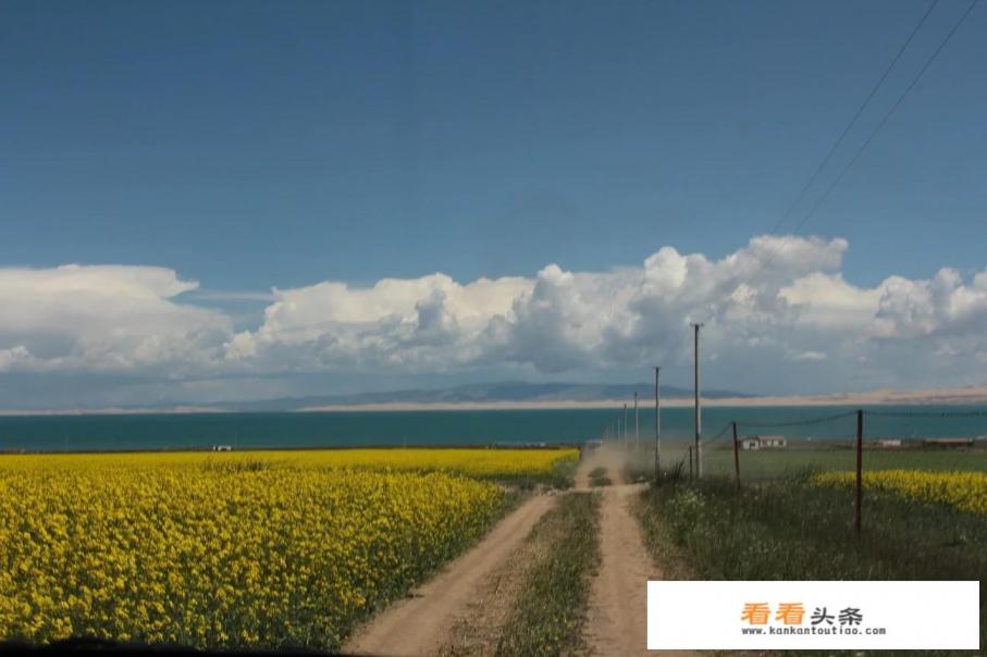 请问，青海湖什么时候去玩比较好？有哪些攻略可以分享