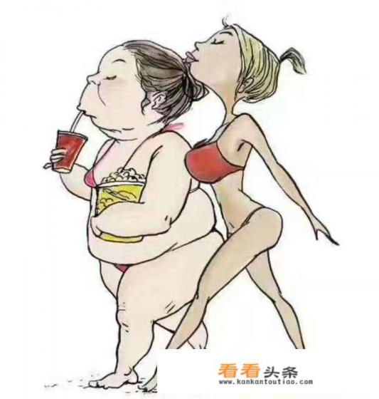 减肥不吃米饭跟肉类，能快速瘦下来吗
