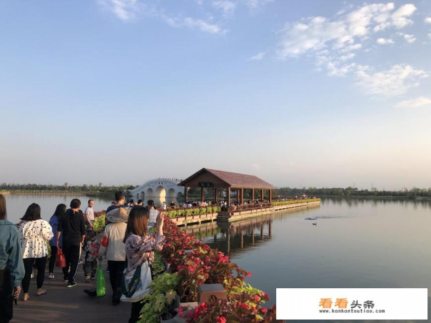 哪个旅行社有50～60岁的老人团，想跟旅行社团走