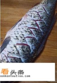 简单家常红烧鱼的做法