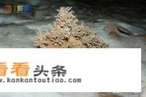 房山可游玩的山有哪些