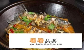 铁锅炖鱼的做法