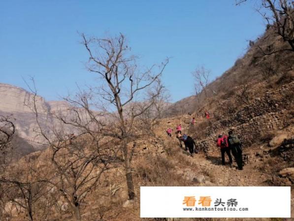 旅游主播排名榜前十名