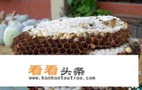 玩开心消消乐能锻炼什么