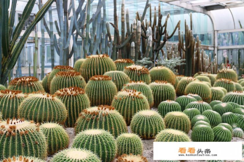 2023国庆厦门旅游人多吗