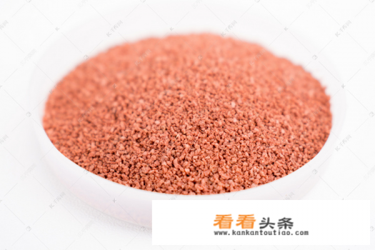 红箭鱼饲养技术 *** 