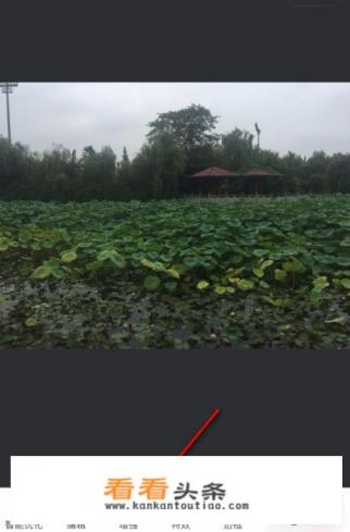 手机照片如何用美图秀秀提高照片的亮度