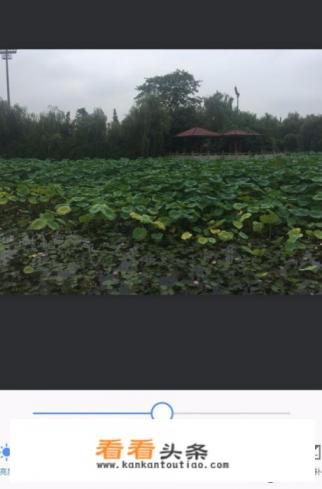 手机照片如何用美图秀秀提高照片的亮度