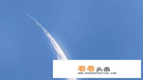 法国巨型鹌鹑能长多大 法国巨型鹌鹑能长多大