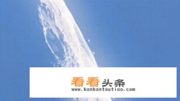 法国巨型鹌鹑能长多大 法国巨型鹌鹑能长多大