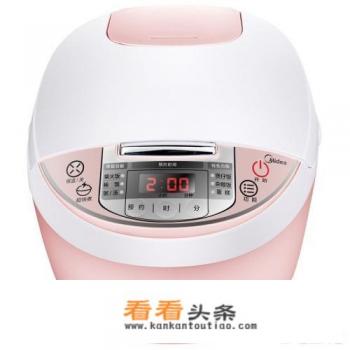 想买一个最小的电饭锅，什么牌子的好