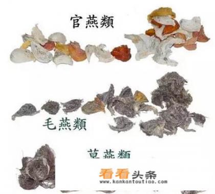 正宗燕窝一斤多少钱？燕窝如何分类