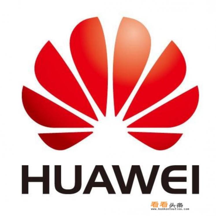 基本上只有一加和华为这两款手机在国外高端市场站稳了脚跟，为什么