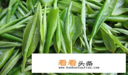 龙井是什么茶