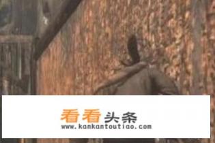 不死军团通道任务攻略