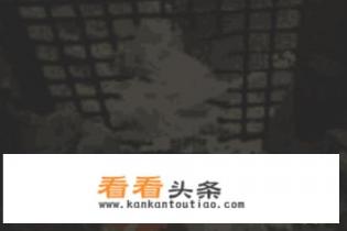 不死军团通道任务攻略