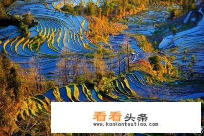 冬季到云南旅游不能错过的景点都有哪些