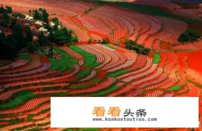 冬季到云南旅游不能错过的景点都有哪些
