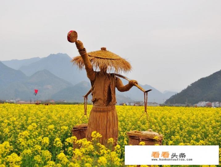 旅游范围江浙沪，时间两天，有推荐的旅游路线和地点吗