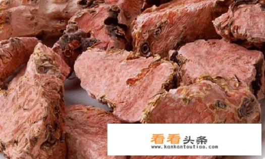 黄氏，红景天，川芎，罗布麻可以泡茶喝吗