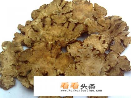 黄氏，红景天，川芎，罗布麻可以泡茶喝吗