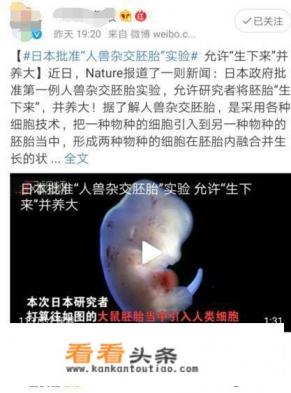 好看的的家庭伦理剧有哪些