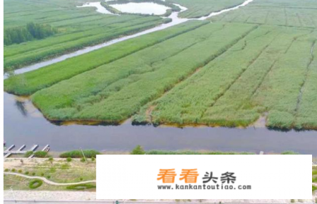 雄安新区旅游攻略详细