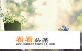 你觉得最好的阅读app是哪个 你觉得最好的阅读app是哪个