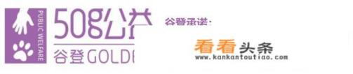 银渐层猫便秘舔 *** 不拉屎,该怎么办 银渐层猫便秘舔 *** 不拉屎,该怎么办