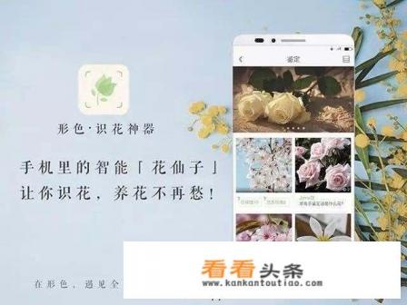 养花app排行榜前十名 养花app排行榜前十名
