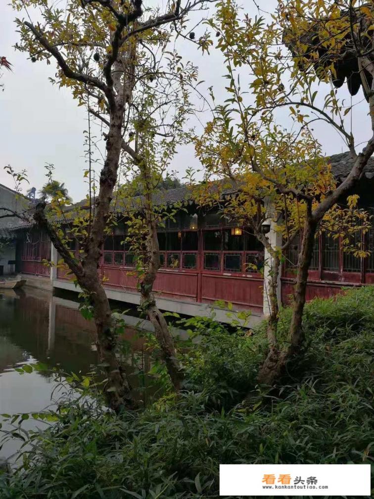 冬天去南京适合吗 冬天去南京适合吗