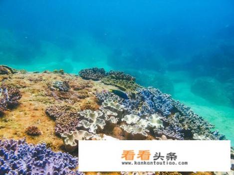 去海南拍婚纱照怎么样 去海南拍婚纱照怎么样