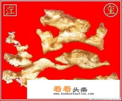 华为新品发布会会发布新的芯片吗 华为新品发布会会发布新的芯片吗