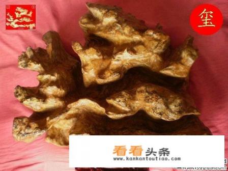 华为新品发布会会发布新的芯片吗 华为新品发布会会发布新的芯片吗