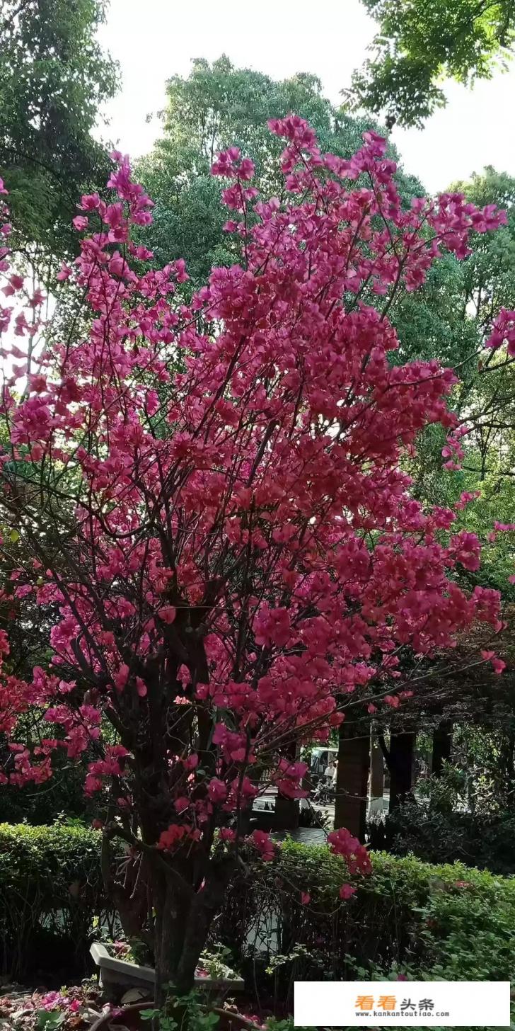 六七月份适合旅游的城市 六七月份适合旅游的城市